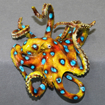 Barry Stein Barry Stein Olympus (Octopus)